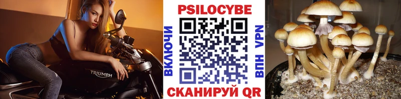 маркетплейс клад  Чистополь  Галлюциногенные грибы Magic Shrooms 