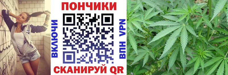 Бошки марихуана план  дарк нет телеграм  Чистополь 